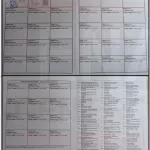 IMG. FICHA TÉCNICA VISTA POSTERIOR