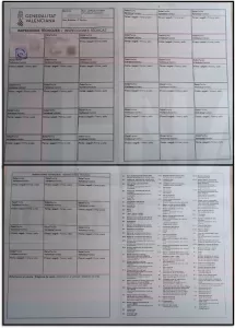 IMG. FICHA TÉCNICA VISTA POSTERIOR